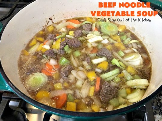 Beef Noodle Vegetable Soup | Can't Stay Out of the Kitchen | this fantastic #soup uses my favorite #Amish #noodles, #stewbeef & lots of #veggies. The seasonings make the taste awesome. It's terrific comfort food for #fall or winter meals. Our company loved this #recipe. #AmishNoodles #carrots #peas #corn #greenbeans #beef #glutenfree 
