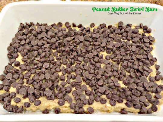Peanut Butter Swirl Bars | Can't Stay Out of the Kitchen | these amazing #brownies have chunky #peanutbutter and #chocolatechips swirled through the batter. #chocolate #dessert #cookie