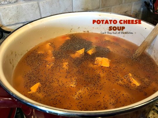 Potato Cheese Soup | Can't Stay Out of the Kitchen | this amazing #soup will soon become a favorite! Uses diced #tomatoes with green #chilies & #velveeta. Quick & easy, too. #glutenfree