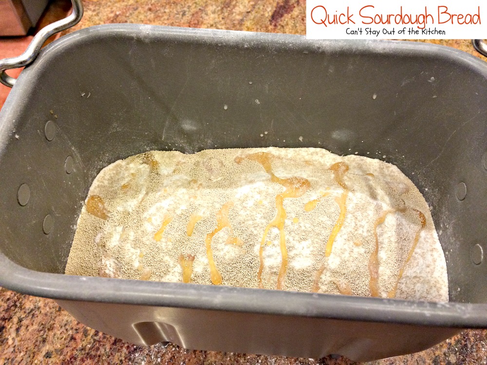 Quick Sourdough Bread Can't Stay Out of the Kitchen