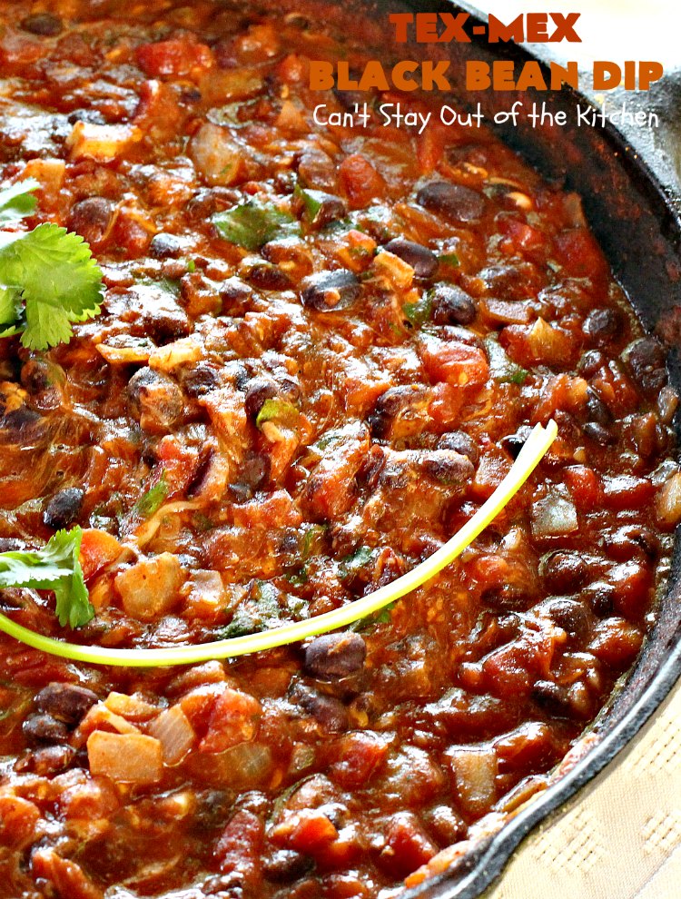 TexMex Black Bean Dip Can't Stay Out of the Kitchen