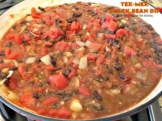 Tex-Mex Black Bean Dip | Can't Stay Out of the Kitchen | This #TexMex dip is amazing. It's one of the best #appetizers we've ever eaten. #blackbeans #cheese #salsa #glutenfree
