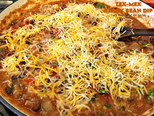 Tex-Mex Black Bean Dip | Can't Stay Out of the Kitchen | This #TexMex dip is amazing. It's one of the best #appetizers we've ever eaten. #blackbeans #cheese #salsa #glutenfree