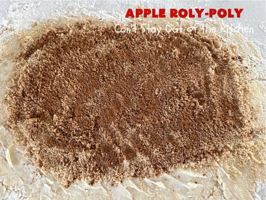 Apply Roly-Poly | Can't Stay Out of the Kitchen | #AppleRolyPoly is one of the best #desserts you'll ever sink your teeth into. This #cobbler-type #dessert rolls up like #PieCrust & is sliced into #pinwheels. It has a #cinnamon #syrup poured over top before #baking. The result has a #cake-like texture & is beyond spectacular. Excellent served with #IceCream. #apples #AppleDessert #AppleCobbler