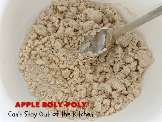 Apply Roly-Poly | Can't Stay Out of the Kitchen | #AppleRolyPoly is one of the best #desserts you'll ever sink your teeth into. This #cobbler-type #dessert rolls up like #PieCrust & is sliced into #pinwheels. It has a #cinnamon #syrup poured over top before #baking. The result has a #cake-like texture & is beyond spectacular. Excellent served with #IceCream. #apples #AppleDessert #AppleCobbler