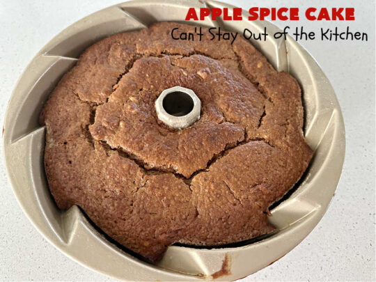 Apple Spice Cake | Can't Stay Out of the Kitchen | this easy #SpiceCake #recipe can be whipped up so easily since it uses only a handful of ingredients in the #cake as well as the #icing. Plus, you don't have to peel #apples! Perfect for #potlucks #FallBaking #holiday or company dinners or anytime you want a sweet treat. #cinnamon #applesauce #AppleDessert #AppleSpiceCake