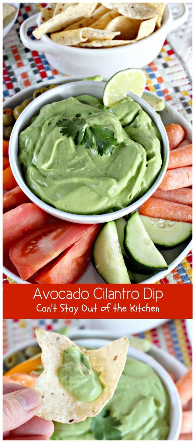 Avocado Cilantro Dip – Can't Stay Out of the Kitchen