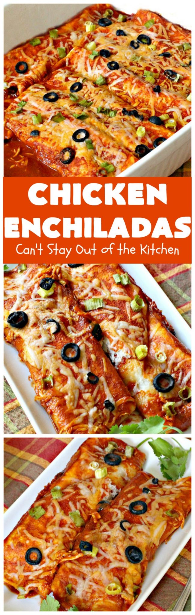 Chicken Enchiladas Can't Stay Out of the Kitchen