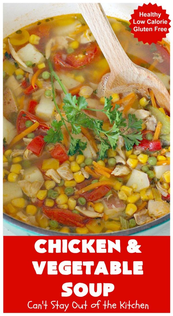 Chicken and Vegetable Soup – Can't Stay Out of the Kitchen