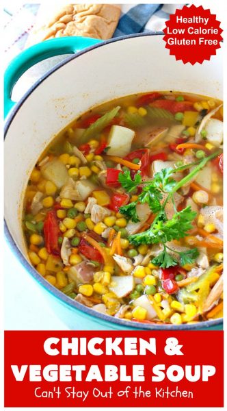 Chicken and Vegetable Soup – Can't Stay Out of the Kitchen