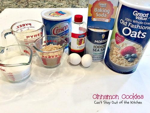 Cinnamon Cookies – Can't Stay Out Of The Kitchen