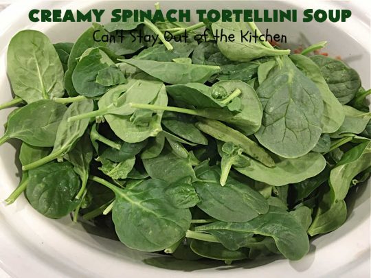 Creamy Spinach Tortellini Soup | Can't Stay Out of the Kitchen | this fantastic #soup uses only about a handful of ingredients but it cooks up into one of the most delicious #ComfortFood #recipes ever! This mouthwatering soup is so easy since it's made in the #SlowCooker! Great for cool nights or lunches. #spinach #tortellini #tomatoes #CreamCheese #ItalianSausage #pork #CreamySpinachTortelliniSoup