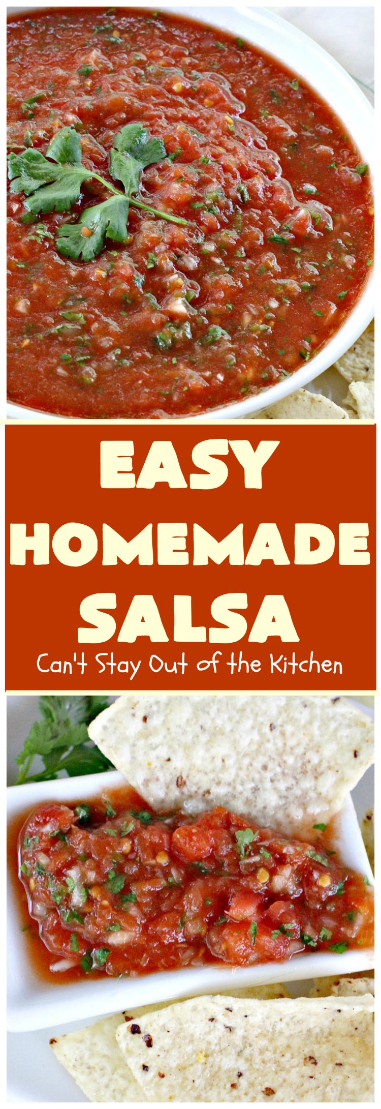 Easy Homemade Salsa | Can't Stay Out of the KitchenEasy Homemade Salsa | Can't Stay Out of the Kitchen