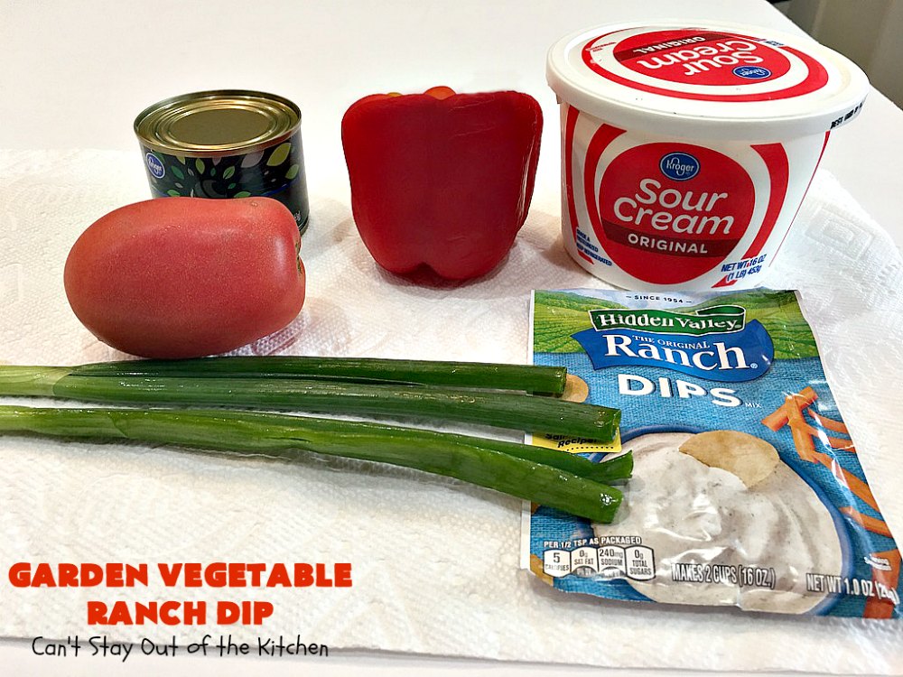 Garden Vegetable Ranch Dip Can't Stay Out of the Kitchen