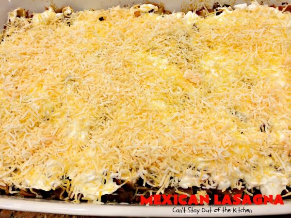 Mexican Lasagna - Can't Stay Out of the Kitchen