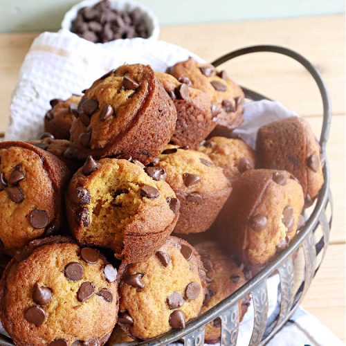 Pumpkin Chip Muffins | Can't Stay Out of the Kitchen | these glorious #PumpkinMuffins are lightly flavored with #cinnamon but are LOADED with #ChocolateChips! Every bite is so delicious you won't be able to stay out of them. Our company loved them! If you enjoy #pumpkin & #chocolate, you won't be able to stay out of them either! Great for #FallBaking, or a company or #holiday #breakfast or #brunch. #HolidayBreakfast #PumpkinChipMuffins #muffins #PumpkinChocolateChipMuffins