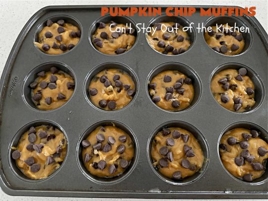 Pumpkin Chip Muffins | Can't Stay Out of the Kitchen | these glorious #PumpkinMuffins are lightly flavored with #cinnamon but are LOADED with #ChocolateChips! Every bite is so delicious you won't be able to stay out of them. Our company loved them! If you enjoy #pumpkin & #chocolate, you won't be able to stay out of them either! Great for #FallBaking,  or a company or #holiday #breakfast or #brunch. #HolidayBreakfast #PumpkinChipMuffins #muffins #PumpkinChocolateChipMuffins