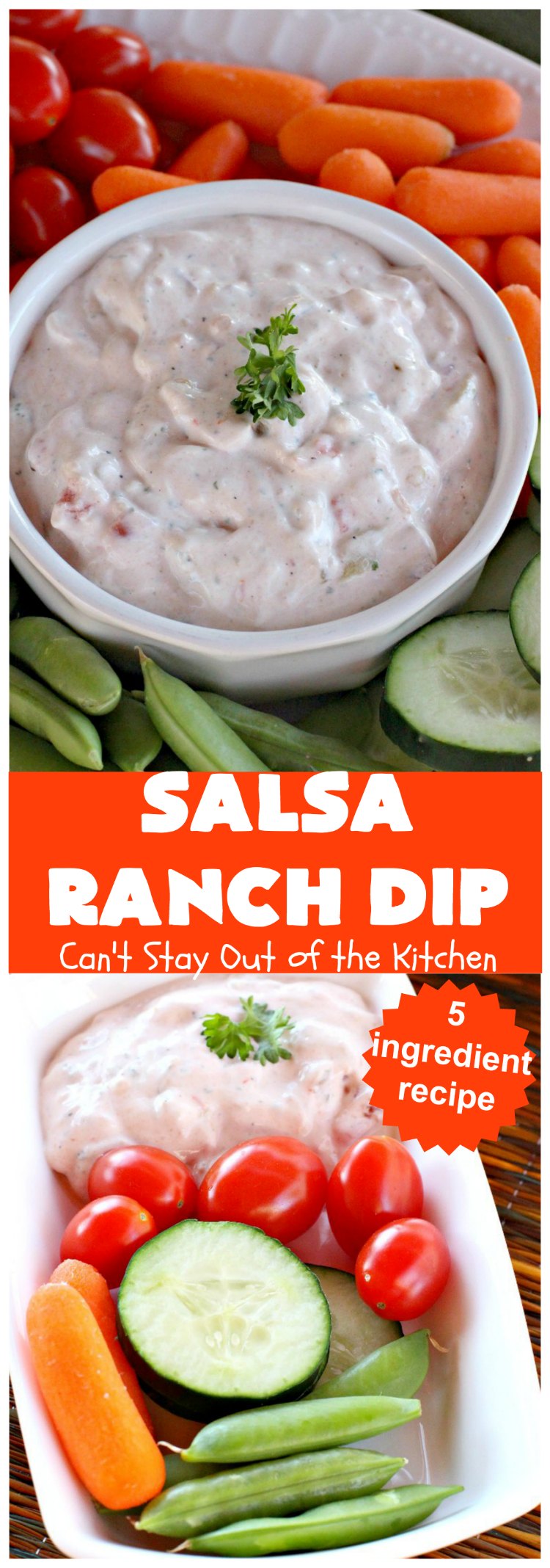 Salsa Ranch Dip | Can't Stay Out of the Kitchen