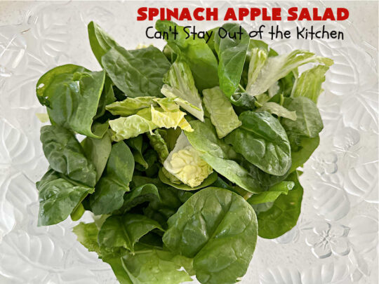 Spinach Apple Salad | Can't Stay Out of the Kitchen | the combination of flavors in this delicious #TossedSalad is wonderful. The #salad includes #apples, #spinach, #raisins & #VidaliaOnions in a tasty #applesauce #SaladDressing. It's easy to toss together at the last minute & pairs delightfully with any #MainDish. #healthy #LowCalorie #GlutenFree #vegan #SugarFree #SpinachApple Salad
