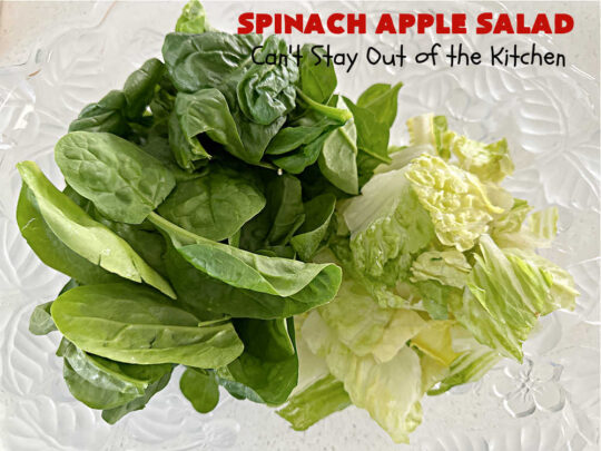 Spinach Apple Salad | Can't Stay Out of the Kitchen | the combination of flavors in this delicious #TossedSalad is wonderful. The #salad includes #apples, #spinach, #raisins & #VidaliaOnions in a tasty #applesauce #SaladDressing. It's easy to toss together at the last minute & pairs delightfully with any #MainDish. #healthy #LowCalorie #GlutenFree #vegan #SugarFree #SpinachApple Salad