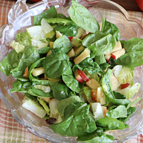 Spinach Apple Salad | Can't Stay Out of the Kitchen | the combination of flavors in this delicious #TossedSalad is wonderful. The #salad includes #apples, #spinach, #raisins & #VidaliaOnions in a tasty #applesauce #SaladDressing. It's easy to toss together at the last minute & pairs delightfully with any #MainDish. #healthy #LowCalorie #GlutenFree #vegan #SugarFree #SpinachApple Salad