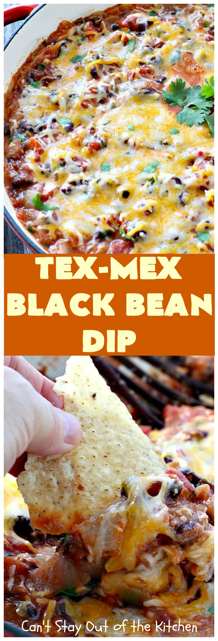 Tex-Mex Black Bean Dip | Can't Stay Out of the Kitchen