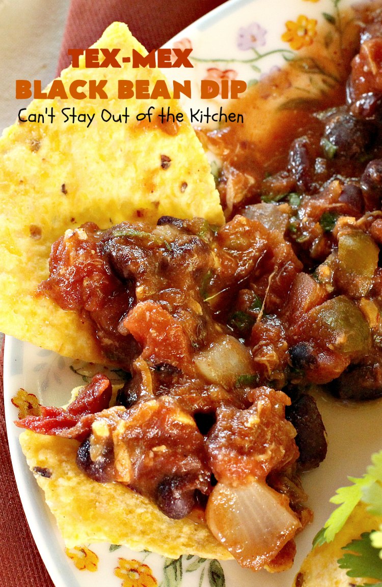 Tex-Mex Black Bean Dip – IMG_2497 – Can't Stay Out of the Kitchen